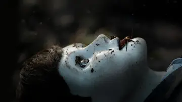 Zasłona do filmu "Brahms: The Boy II" #326578
