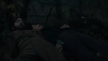 Zasłona do filmu "Pierwsza krowa" #932208