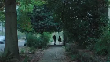 Zasłona do filmu "Nastoletnia miłość" #724629