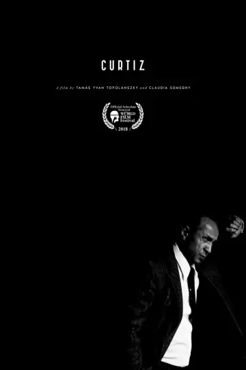 Plakat do filmu "Curtiz – Węgier, który wstrząsnął Hollywood" #708921