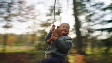 Zasłona do filmu "Błąd systemu" #381772