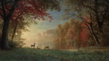 Zasłona do filmu "Zabawa w pochowanego" #641468