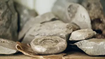 Zasłona do filmu "Amonit" #901678