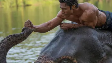 Zasłona do filmu "जंगली" #452658