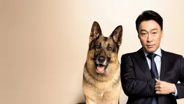 Zasłona do filmu "미스터 주: 사라진 VIP" #1633574