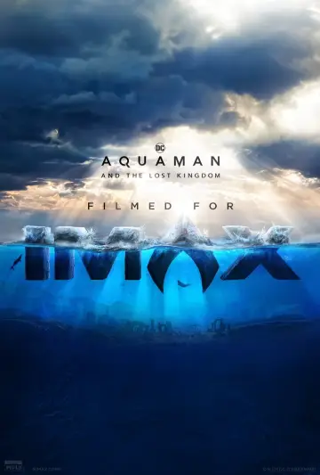 Plakat do filmu "Aquaman i Zaginione Królestwo" #160472