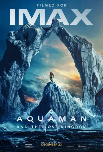 Plakat do filmu "Aquaman i Zaginione Królestwo" #160473