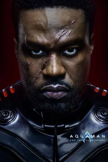 Plakat do filmu "Aquaman i Zaginione Królestwo" #413