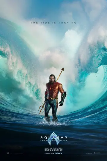 Plakat do filmu "Aquaman i Zaginione Królestwo" #421