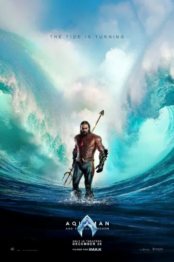 Plakat do filmu "Aquaman i Zaginione Królestwo" #430