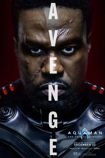 Plakat do filmu "Aquaman i Zaginione Królestwo" #437