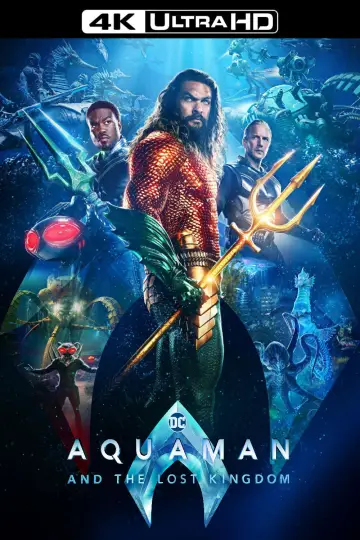 Plakat do filmu "Aquaman i Zaginione Królestwo" #564692