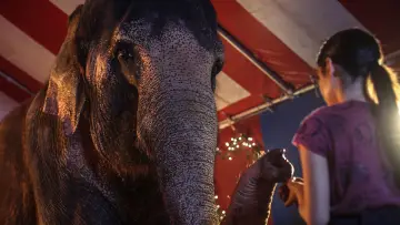 Zasłona do filmu "Ratujmy Florę" #1836966