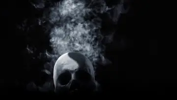 Zasłona do filmu "Oszukać przeznaczenie: Więzy krwi" #377719