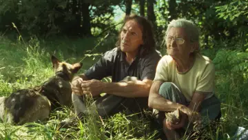 Zasłona do filmu "Siła ognia" #796786