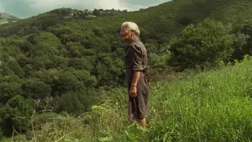 Zasłona do filmu "Siła ognia" #796787