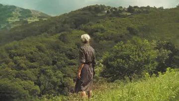 Zasłona do filmu "Siła ognia" #796788