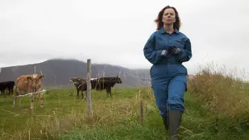 Zasłona do filmu "Daleko od Reykjaviku" #502159