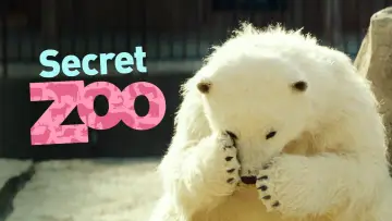 Zasłona do filmu "해치지않아" #1072786