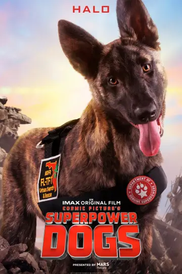 Plakat do filmu "Superpower Dogs" #1907844