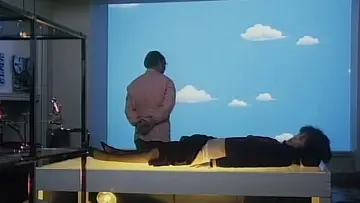 Zasłona do filmu "スチュワーデス・スキャンダル　獣のように抱きしめて" #833508