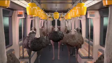 Zasłona do filmu "Ostrich Politic" #1174540