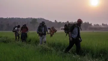 Zasłona do filmu "Pięciu braci" #282128
