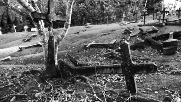 Zasłona do filmu "Fordlandia Malaise" #1784387