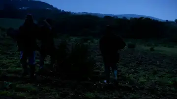 Zasłona do filmu "Torn: A Shock Youmentary" #1174376