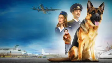 Zasłona do filmu "Пальма" #901505