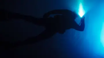 Zasłona do filmu "Big Shark" #1107390