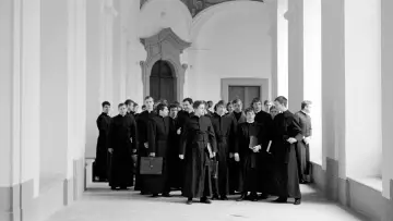 Zasłona do filmu "Słudzy" #721167