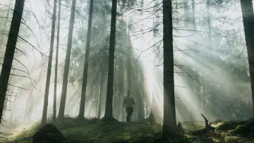 Zasłona do filmu "Август" #869395