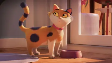 Zasłona do filmu "Miss Moxy. Kocia ekipa" #536161