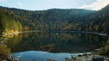 Zasłona do filmu "Niezbędna konieczność" #705210