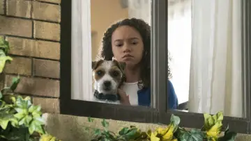 Zasłona do filmu "Mój przyjaciel szpieg" #617407