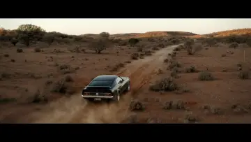 Zasłona do filmu "Szarańcza" #500635