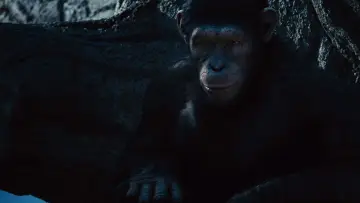 Zasłona do filmu "Geneza Planety Małp" #226311
