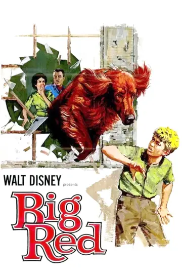 Plakat do filmu "Big Red" #743550