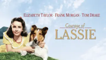 Zasłona do filmu "Odwaga Lassie" #1118745