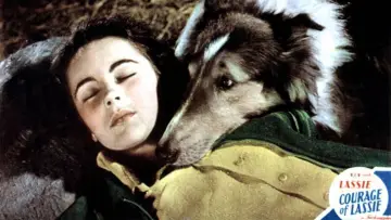 Zasłona do filmu "Odwaga Lassie" #1118746