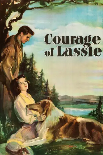 Plakat do filmu "Odwaga Lassie" #1118750