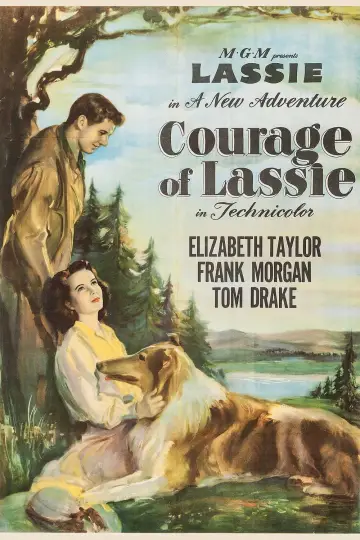 Plakat do filmu "Odwaga Lassie" #1118751