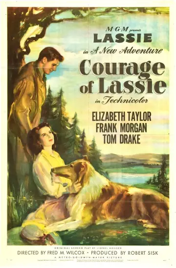 Plakat do filmu "Odwaga Lassie" #1118752