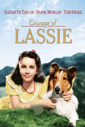 Odwaga Lassie