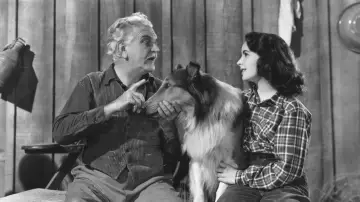 Zasłona do filmu "Odwaga Lassie" #490538