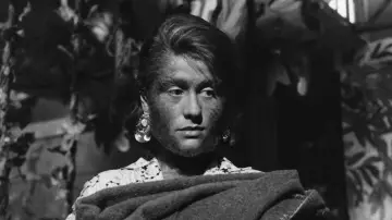 Zasłona do filmu "La donna scimmia" #848130