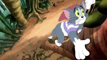 Zasłona do filmu "Tom i Jerry: Piraci i kudłaci" #392571