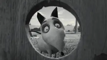 Zasłona do filmu "Frankenweenie" #1201418