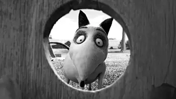 Zasłona do filmu "Frankenweenie" #250534